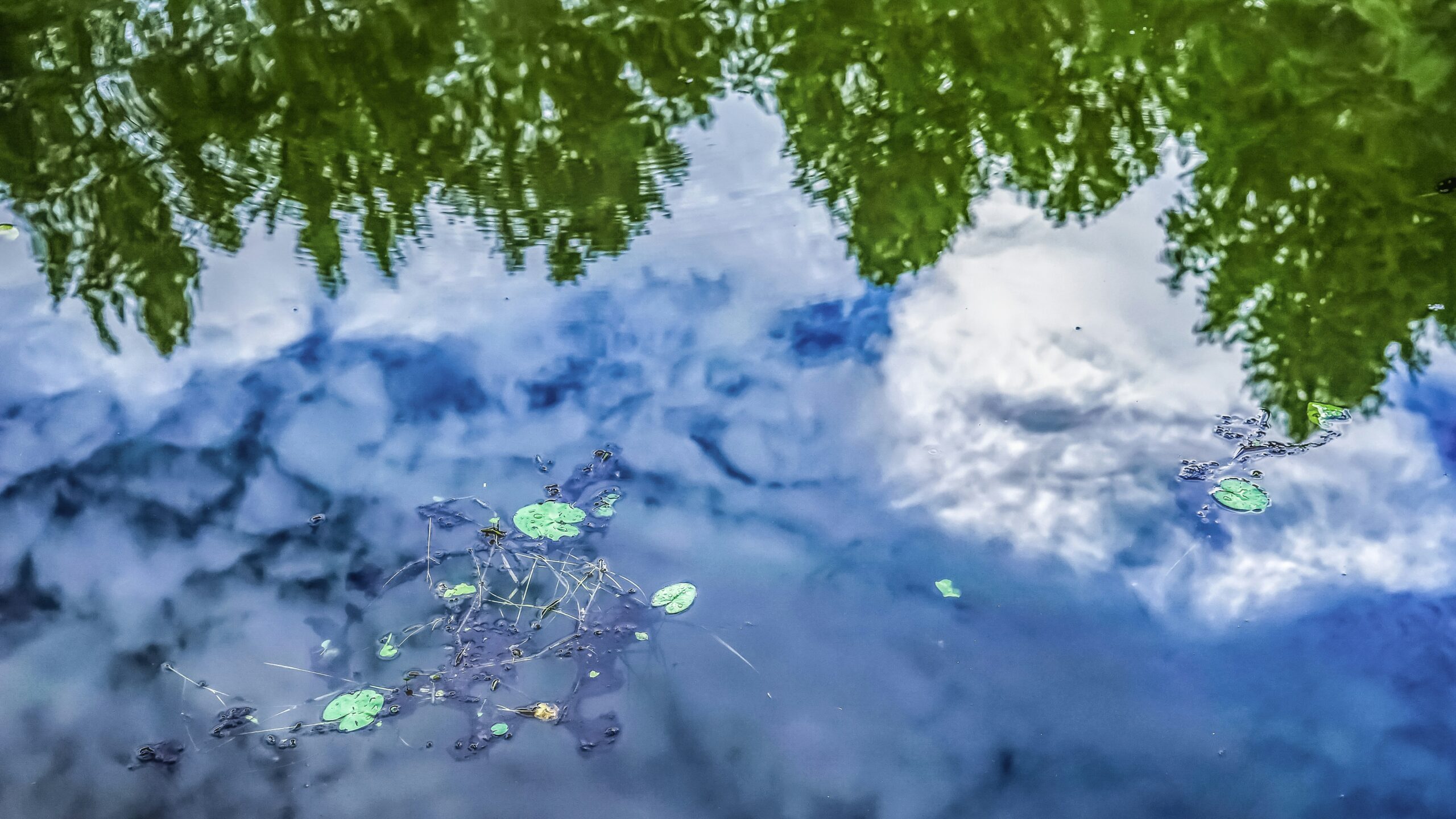 cheng chieh hsu 8zqzlg fpku unsplash